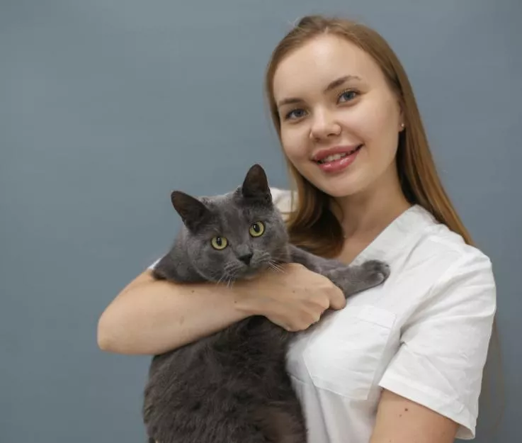 Вакцинация кошек и что нужно делать после вакцинации.